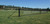 3' Ball Stop Fence