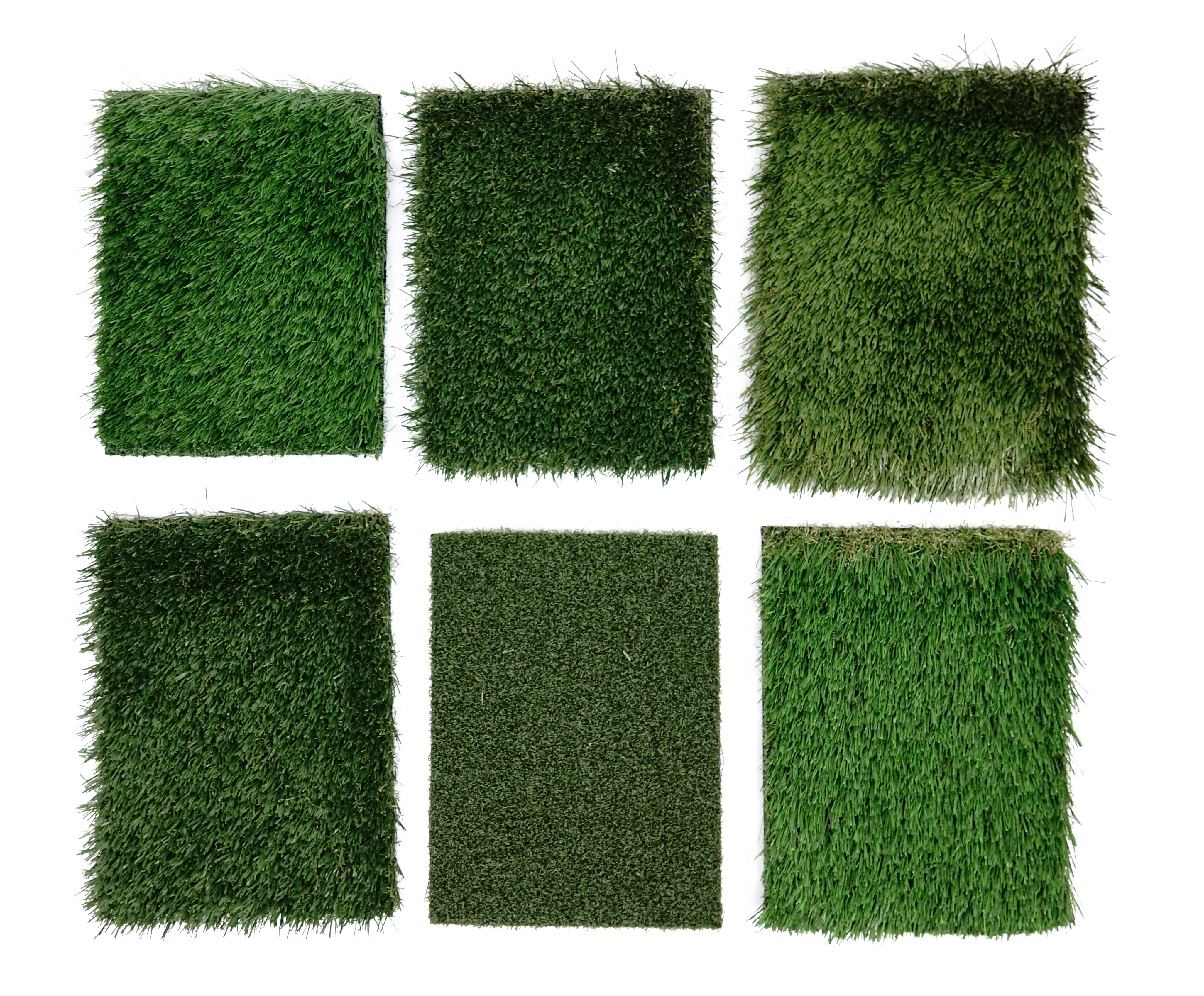 Grass.jpg Grass.jpg
