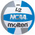 Molten L2